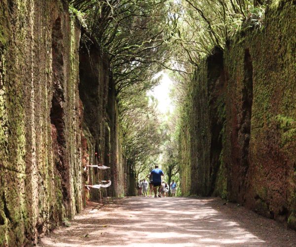 Rural Park of Anaga walls