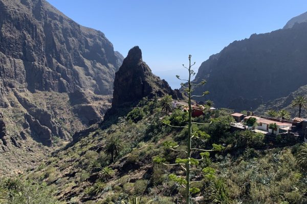 Masca View, Tenerife