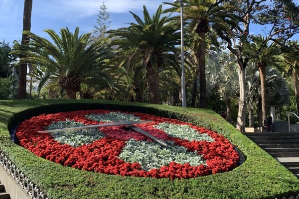 Parque Garcia Sanabria santa Cruz de Tenerife