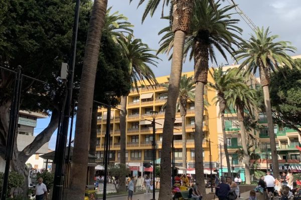 Plaza del Charco - Puerto de la cruz